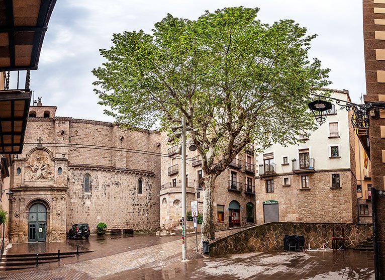 Solsona_cat's tweet photo. El plataner de la plaça de la Catedral de #Solsona, un dels protagonistes de la #biofira #LEcològica. Dissabte se n'inaugura la placa que el senyalitza com a arbre d'interès local https://t.co/dnncV4snAh https://t.co/AbYlfwHY8g