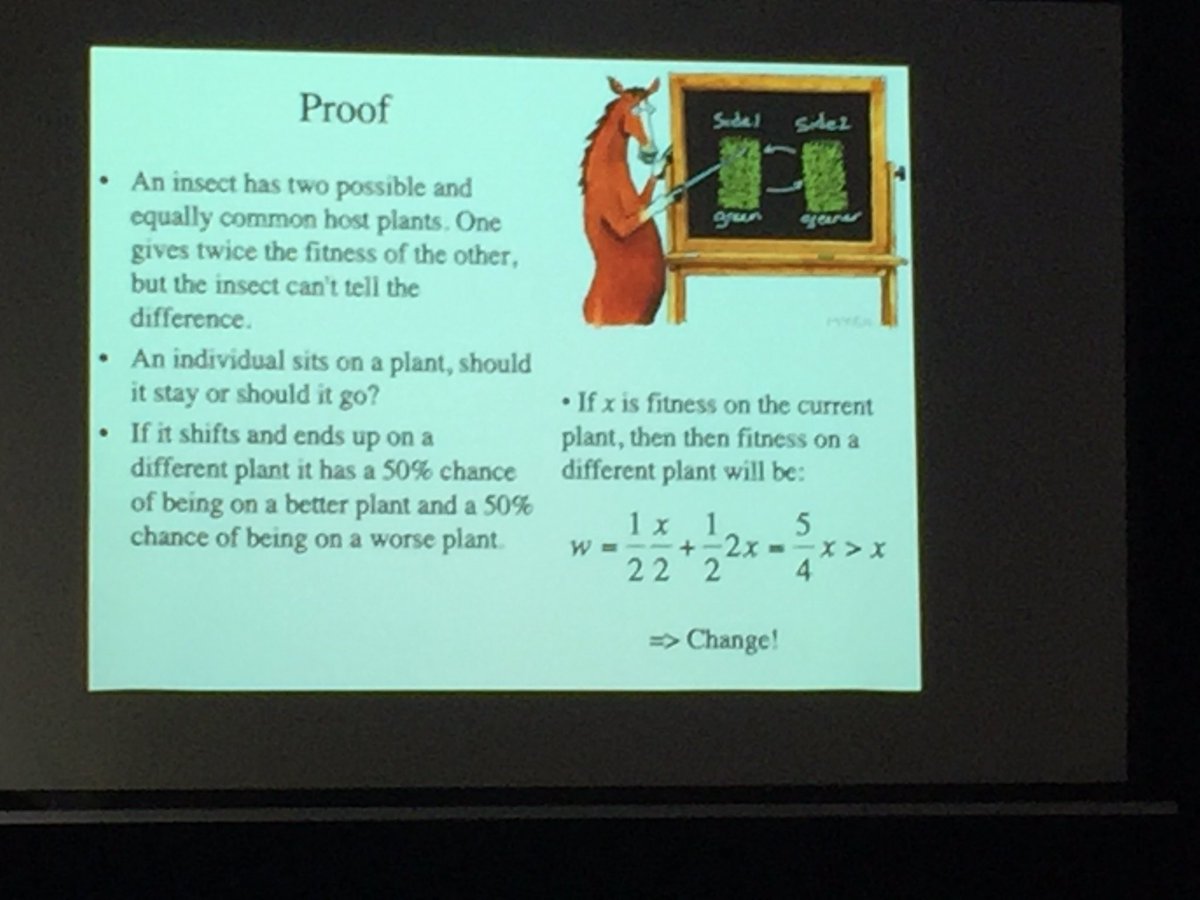 “Proof” that the grass is always greener on the other side by Thomas Hansen #MMEE2019