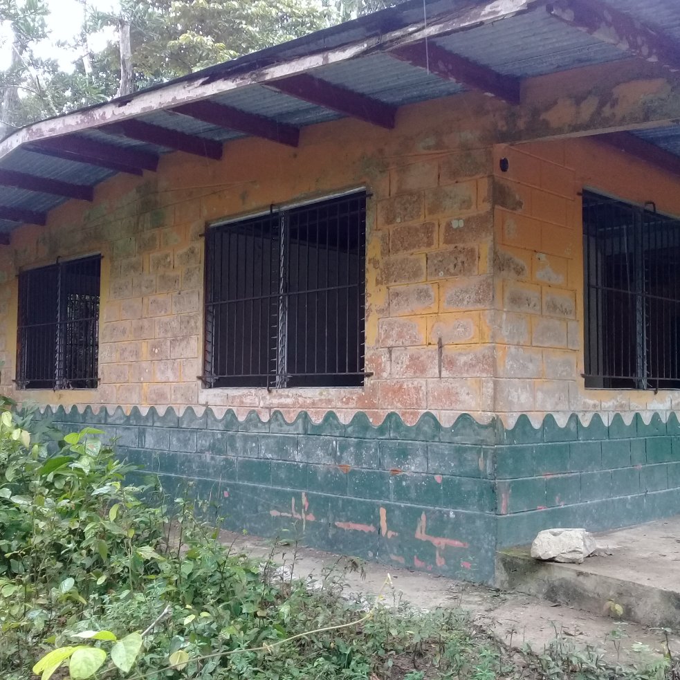 ANTONERO tweet media