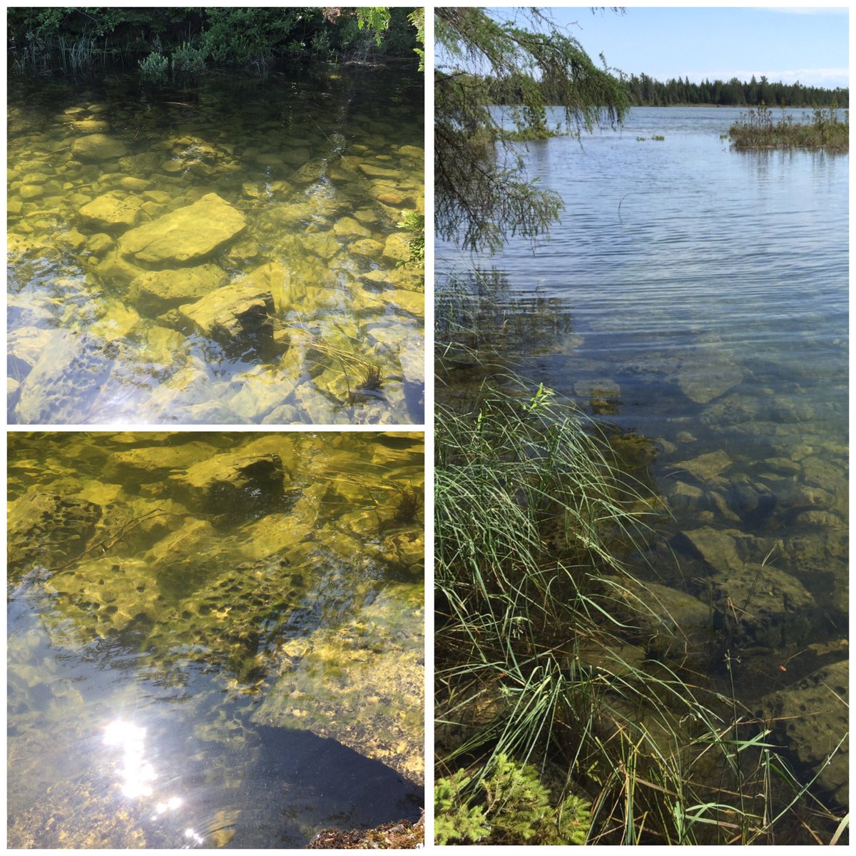 “We may be floating on Tao, but there is nothing wrong with steering. If Tao is like a river — it is certainly good to know where the rocks are.”
— Deng Ming-Dao, from “Everyday Tao”
💦🌿💦🌿💦