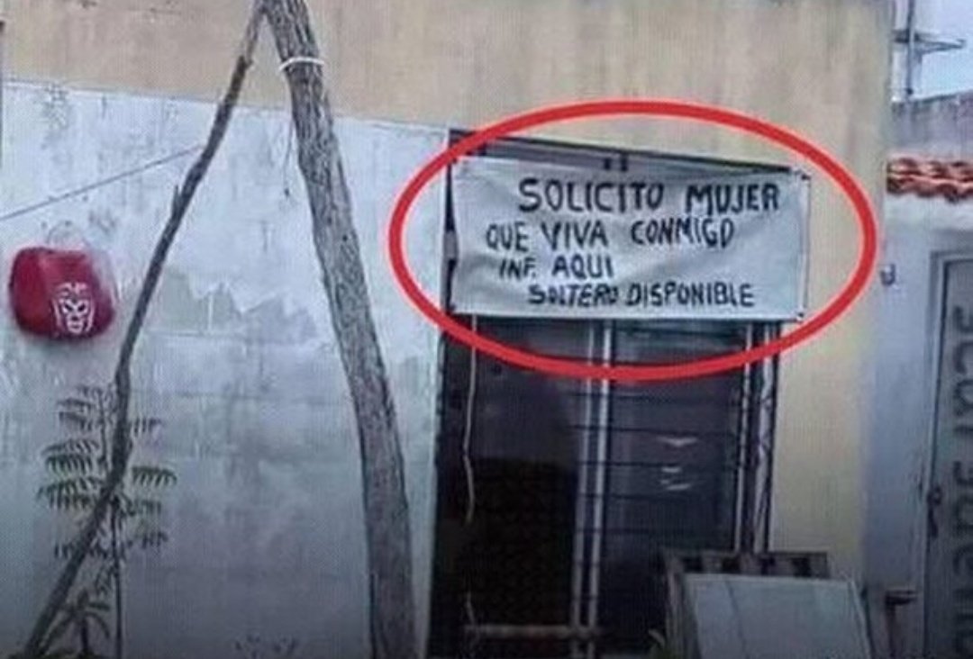 DotorJaimito's tweet photo. Están solteras es por gusto https://t.co/T2rZL9tCtV