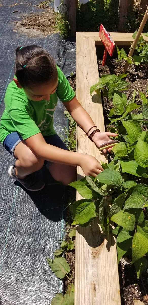 Matt Rivera tweet media