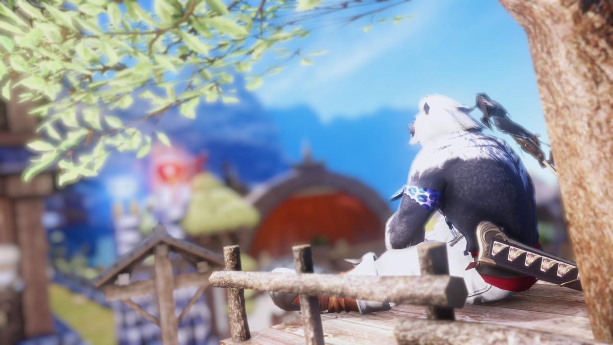 NordicRoe's tweet photo. Attempted at making a good lad! Personally I think he looks so soft and precious. I will give it a few weeks. What do you think? :) 
#FF14 #finalfantasyxiv #Hrothgar #bara #buffcat #GPOSERS #ffxivsnaps #InnosRayne https://t.co/BK2J8GubA5