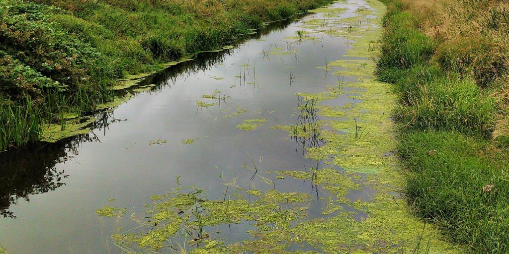 JonTromans's tweet photo. A #Somerset #Rhyne form last weekends hike...

#walking #hiking #outdoors #countryside #trvael https://t.co/ekre7kzr38