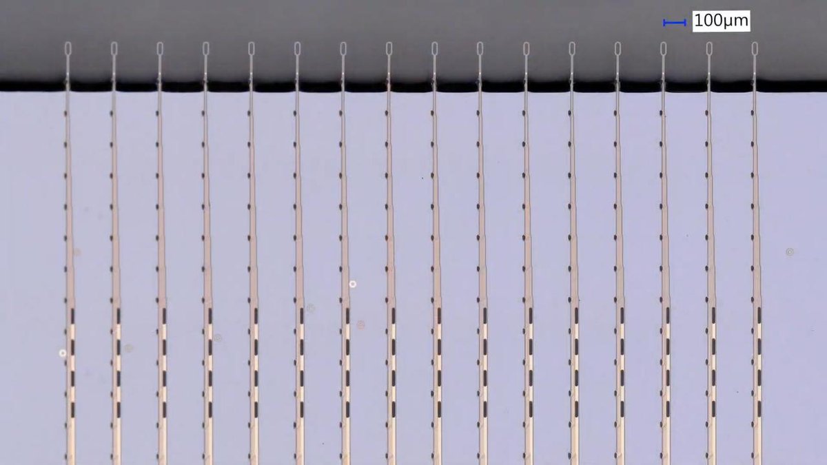 metatetsu's tweet photo. イーロン・マスクが発表した脳直結型コンピューター完成を本気で目指す『Neuralink』。発表会内容がよくまとまっている記事。
数十ミクロンの針1万本を脳を傷つけずに設置できるチップをすでに試作済み。
従来の疾患治療用脳インプラントはせいぜい針10本なので1000倍の性能
https://t.co/GPgDf39dcb https://t.co/Bk24pD8vk6
