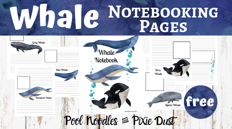 Free Whale Notebooking Pages poolnoodlesandpixiedust.com/free-whale-not…