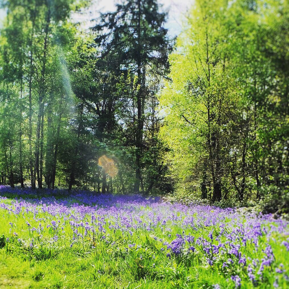 GraphicsHosch's tweet image. Never tire of this view would you .. #largeformatprint #healthylifehealthymind #graphics #bespoke hoschgraphics.co.uk