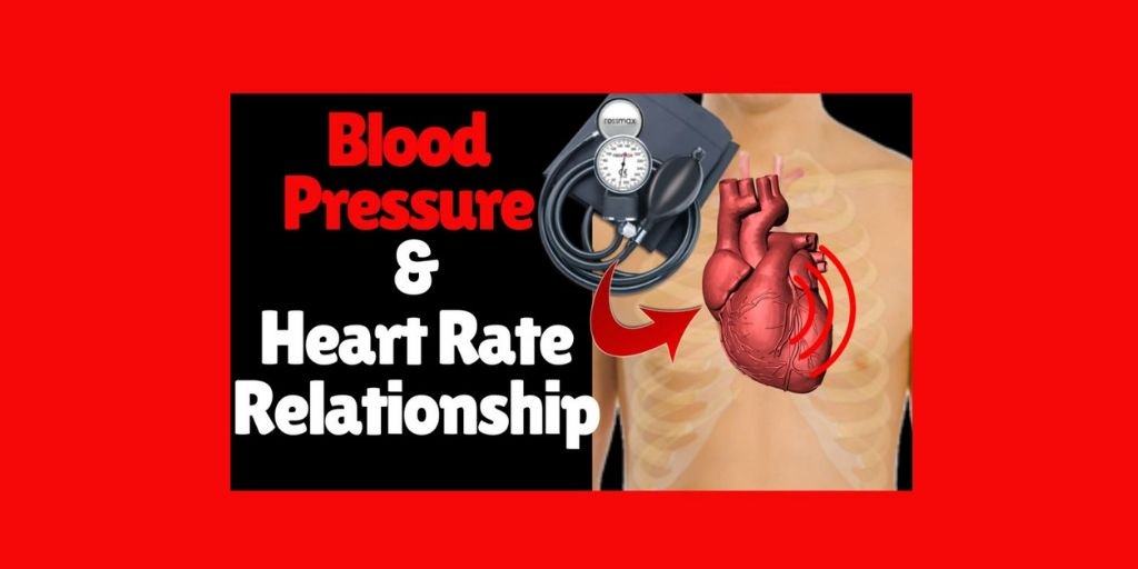 BloodPressureex's tweet photo. Blood Pressure and Heart Rate Relationship===>https://t.co/9Td8Pwj2TU ……………………………………………………..#bloodpressure #heart #health #healthy #healthylifestyle #healthyliving #healthylife https://t.co/Cn0kMTSaCE