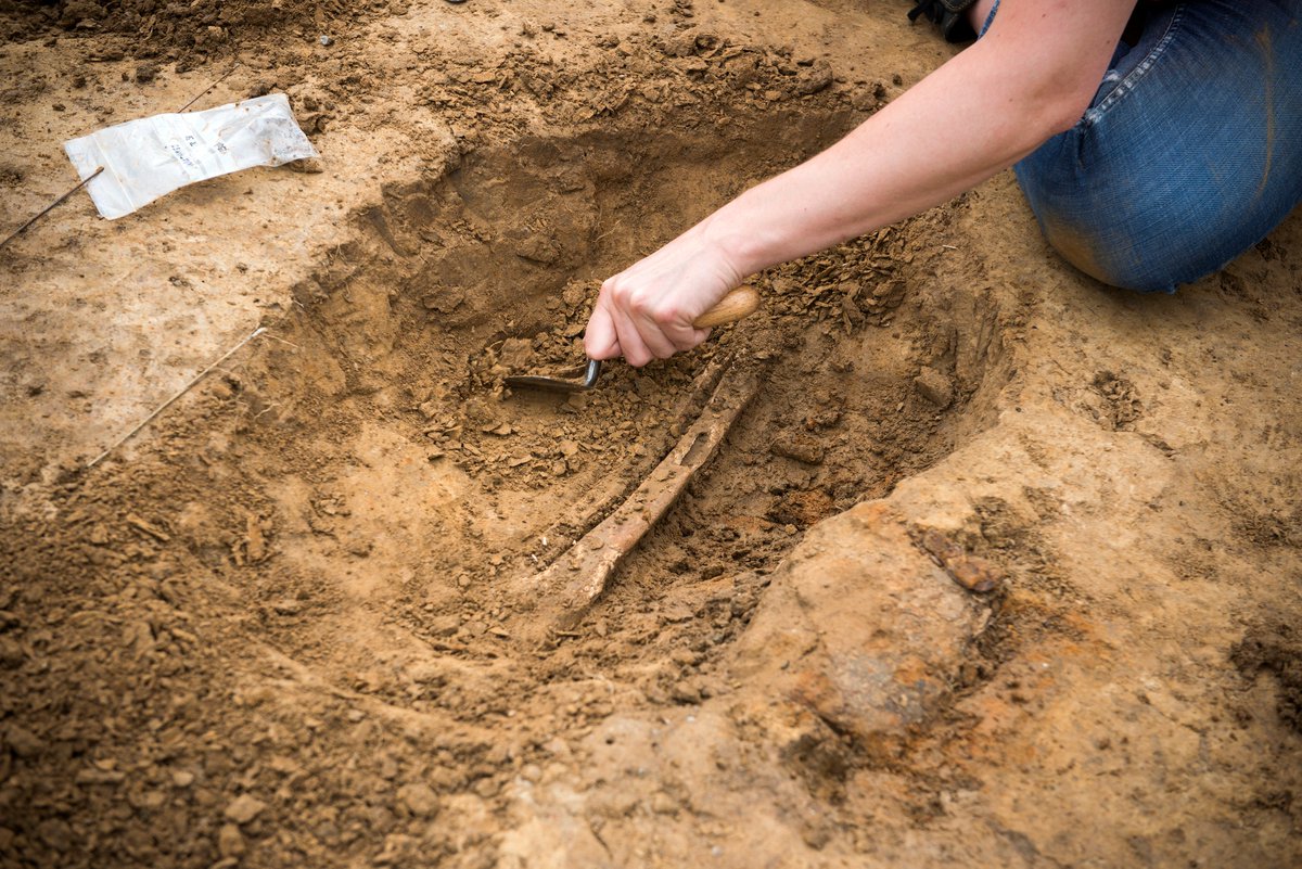 DigWaterloo's tweet photo. At the site of former field hospital Mont-Saint-Jean, our students, archaeologists and veterans have found several human leg bones, in what we believe to be a pit where limbs amputated in the hospital during the #BattleofWaterloo were thrown. Stay tuned for more details! #WU2019 https://t.co/w2eBKggixd