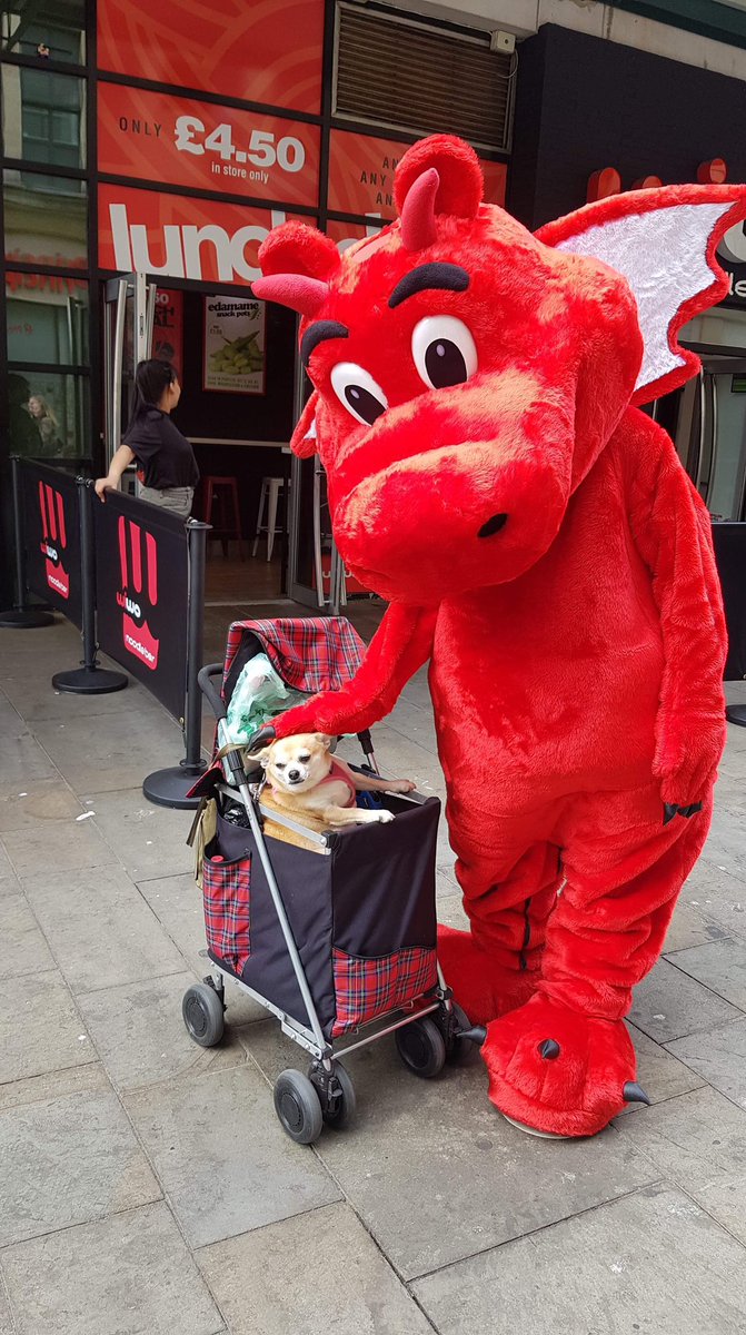 Dylan’s new furry friend 🐶 #cardiffgrad