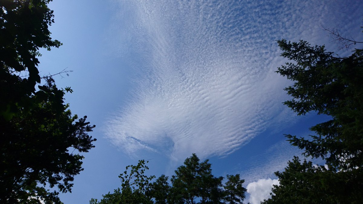 lesenimdunkeln's tweet image. Was für schöne Wolken heute unterwegs sind *_*
 #cloudcontent
@CloudAppSoc