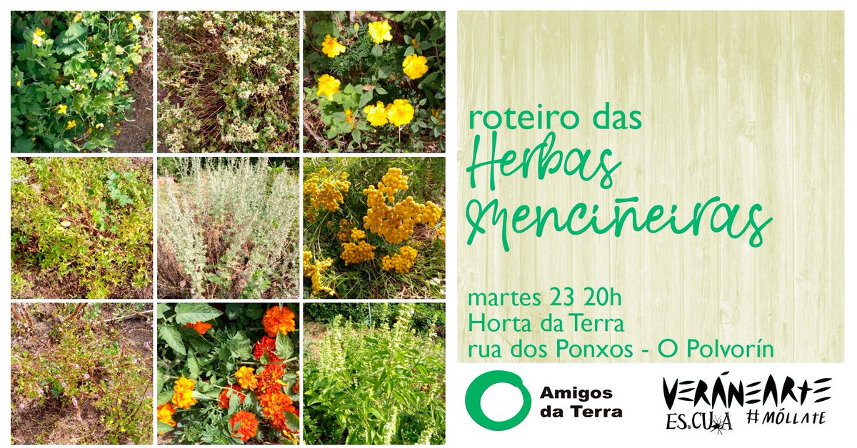 escuaou's tweet photo. Herbas menciñeiras no #veránEarte con @adtgalicia Un roteiro para todos os públicos no que coñeceremos as súas características e usos.
O vindeiro martes 23 na Horta da Terra, rúa dos ponxos (Barrrio de O Polvorín).
#móllate #vea19
https://t.co/RCo4vtaULQ https://t.co/DkCsvmVHae