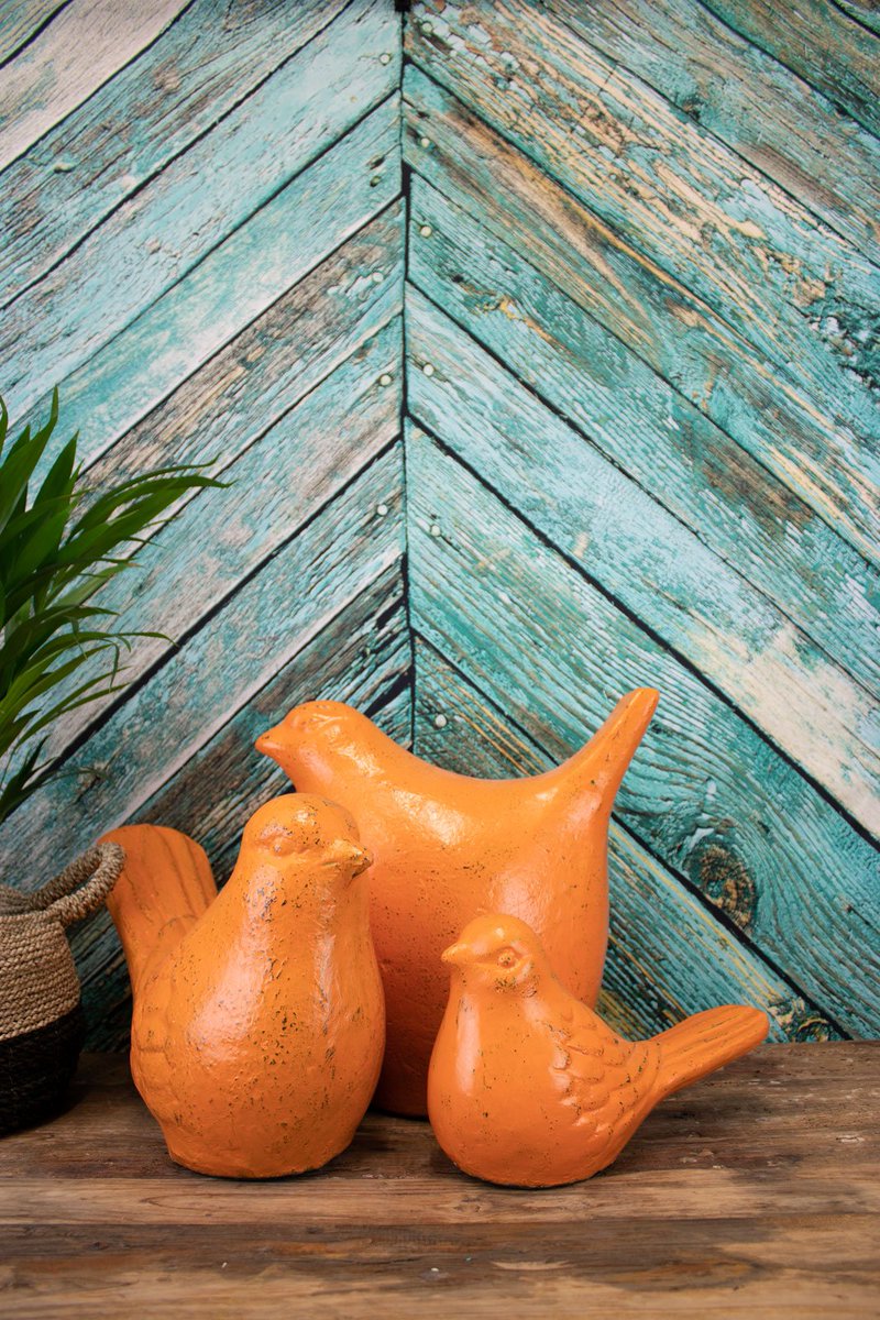These sweet little birds are sure to brighten your day. Add a pop of colour to your living space for instant wow 🍊🍊
⠀⠀
#duskfurniture #homedecor #WednesdayWisdom