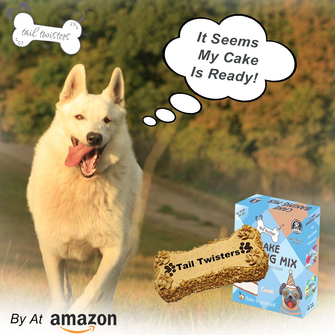 tail_twisters's tweet photo. Tail Twister's Cookies and cakes are the perfect combinations of health and taste. Order now for your four legged baby.. available at Amazon.

Link: https://t.co/C0QSm7vFbw

#dogs #puppies #cutedog #dogfood #homemadedogfood #tastydogfood #lovefordogs #tailtwisters #redvelvet https://t.co/3M5m7Ni6Vb