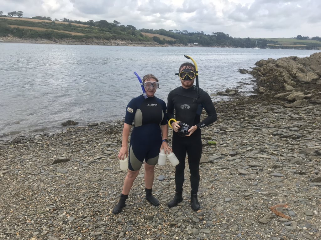 DrJodieFisher's tweet photo. Foraminifera week continues with snorkling and sampling the Helford estuary marine conservation zone. @EarthSciPlymUni @plymunitech #summersampling #cornwall https://t.co/VZzOW2VELy