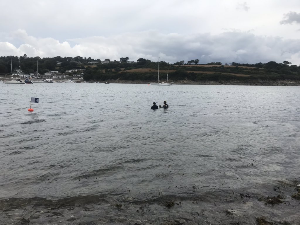 DrJodieFisher's tweet photo. Foraminifera week continues with snorkling and sampling the Helford estuary marine conservation zone. @EarthSciPlymUni @plymunitech #summersampling #cornwall https://t.co/VZzOW2VELy