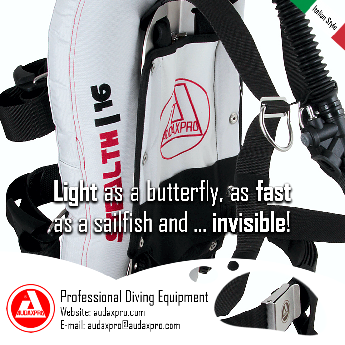 AUDAXPRO's tweet photo. Light as a butterfly, as fast as a sailfish and ... invisible!

#audaxpro #subacquea #immersion #scuba #diving #divinglife #dive #diver #underwater #divedeep #scubadiver #divessi #scubaearth #scubadiving #watersport #tech #techdiver #divers
📌🌊🐠🐟

Link: https://t.co/c4TQZufLHw https://t.co/XHvnIMtTTk