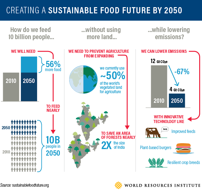WorldResources's tweet photo. Feeding 10 billion people sustainably by 2050 requires closing three gaps: a 56% food gap, a 593 million-hectare land gap, and an 11-gigaton GHG mitigation gap. New report shows how. Learn more:  https://t.co/3IZg0rU9lw #sustfoodfuture https://t.co/mWMazGum0W