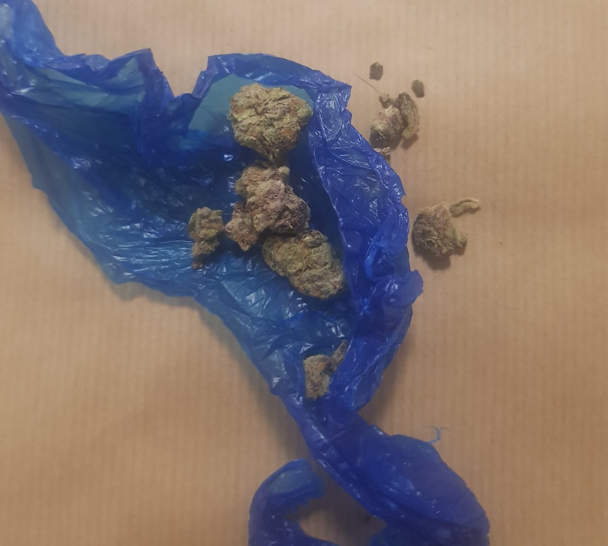 Reports of ASB in Bartley Woods...PCSO's have disturbed their  "chilled" afternoon and seemed to have left behind a little parcel... we'll take that 👍👍 @LeeTrinderWMP #saferbartley