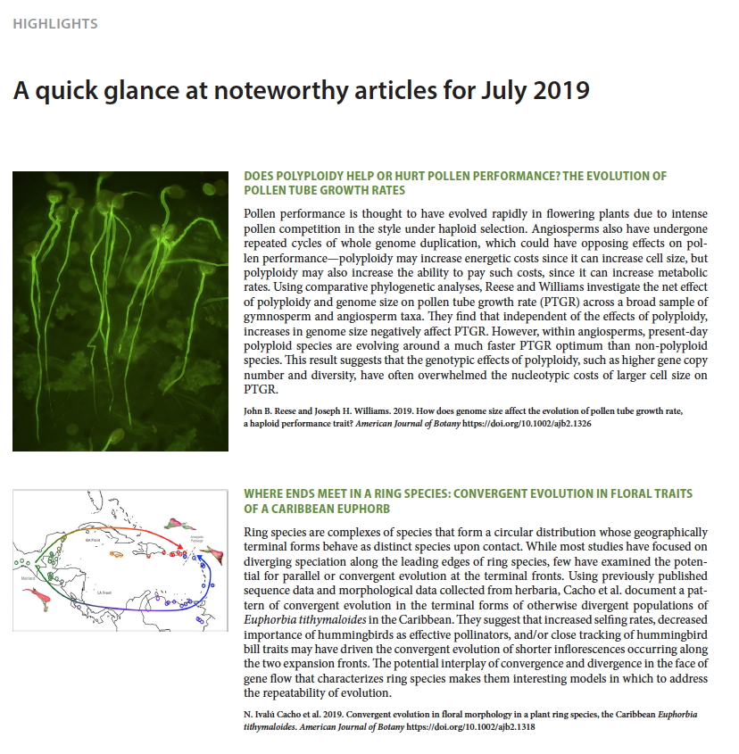 Botanical_'s tweet photo. Check out these highlights from the latest issue of #AJB! https://t.co/qNC4sRNcQi #botany #polyploidy #evolution #drought @wileyplantsci @AngelaWalczyk @marxhannah @dave_tank @ivalu_cacho @ptmcintyre3 https://t.co/GpadmJ17QO