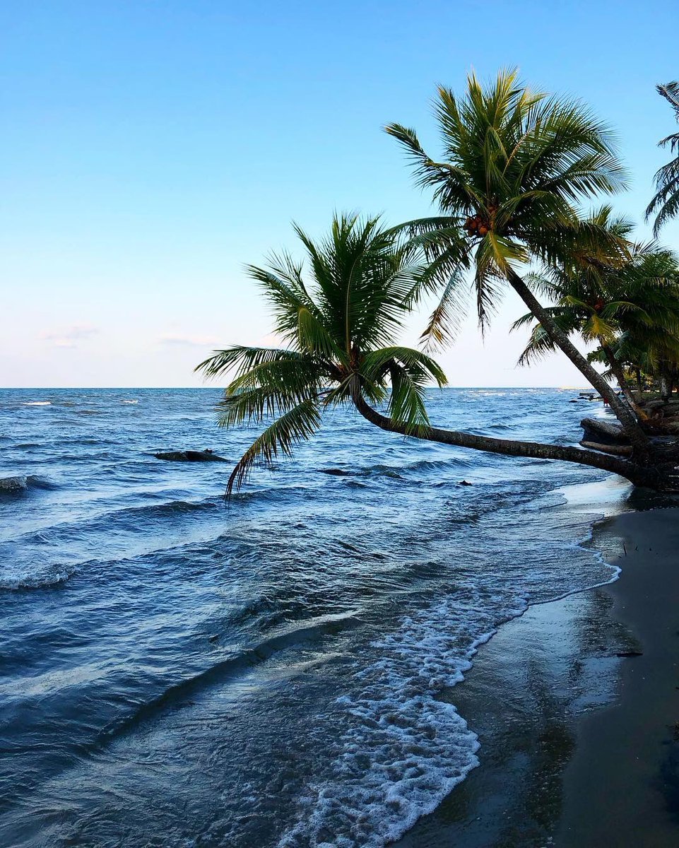 Puntadepalma Hashtag On Twitter