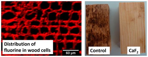 ACSNanotation's tweet photo. Nano Metal Fluorides for Wood Protection against Fungi.
Read more: https://t.co/7XPqhxBHUn
#nanometal #nanoscience #nanoparticles #timberdecay #woodpreservation
#ACSANM @ACS_AMI https://t.co/Nsmcv8hBod