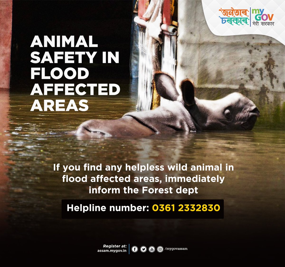 mygovassam's tweet photo. Here's what you can do if you find a wild animal in distress in a flood affected area. #AssamFloods https://t.co/tWg3BfXTxh