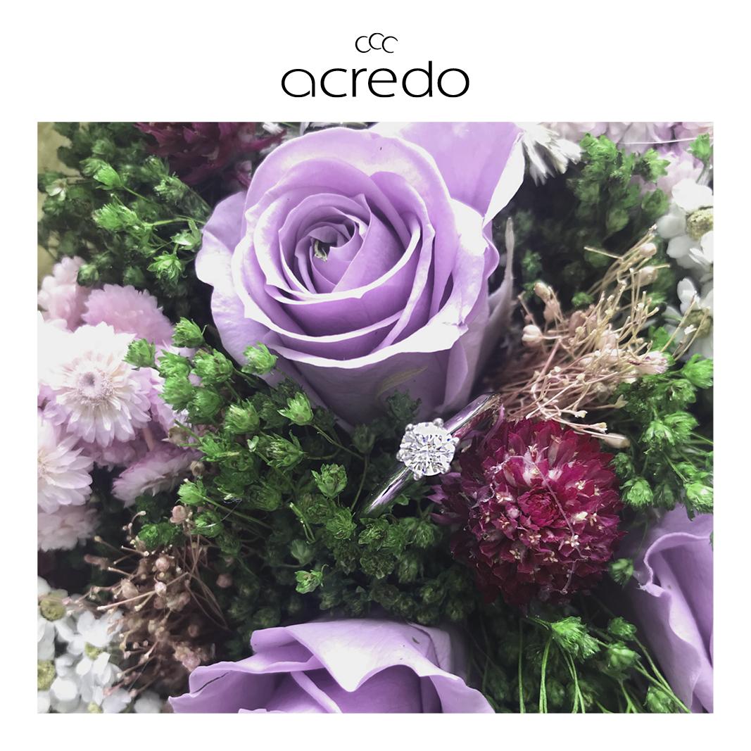 Acredo_Ringe's tweet photo. #WeddingWednesday
#Blumen 🌹und #Diamanten 💎 bilden das perfekte Arrangement für die schönste Frage der Welt 💜 #acredo https://t.co/pP8eDutKKv