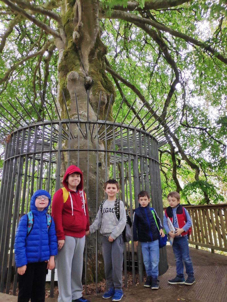 Rainy day fun exploring Coole Park &amp; their beautiful museum🌧️☔ 🌳 @kinvarans #CoolePark #julyprovision