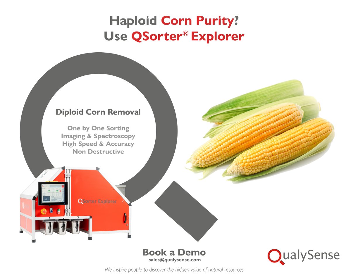 QualySense's tweet photo. Want to Increase #Purity of Your #Haploid #Corn Production? Time to Consider Adopting the #QSorter® Technology. For more information visit our website https://t.co/Tl1OYd6jQx https://t.co/fSZgKQ6LGr