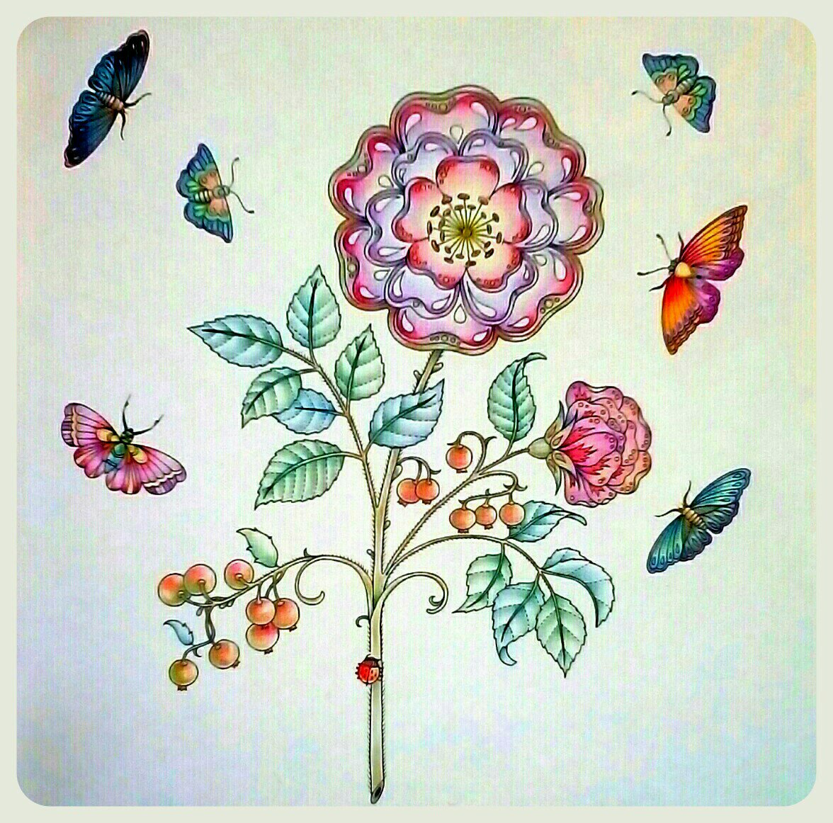 Wisteria 藍晶 No 34 ひみつの花園 実の辺り 色で迷走してめっちゃ補色重ねました スキャナアプリで角度調節していない方が現物の色に近いかな 今日は早寝 使用色鉛筆 無印160色 大人の塗り絵 色鉛筆 T Co O1vbf6juaw Twitter