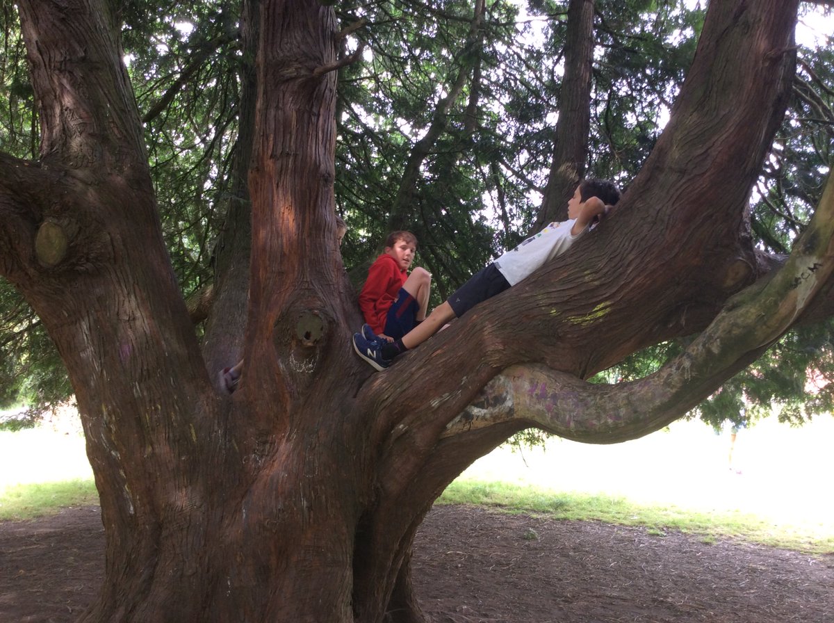bdps_19's tweet photo. @brynderiprimary Another fab day for Y6 😀 https://t.co/UJyDflQgeH