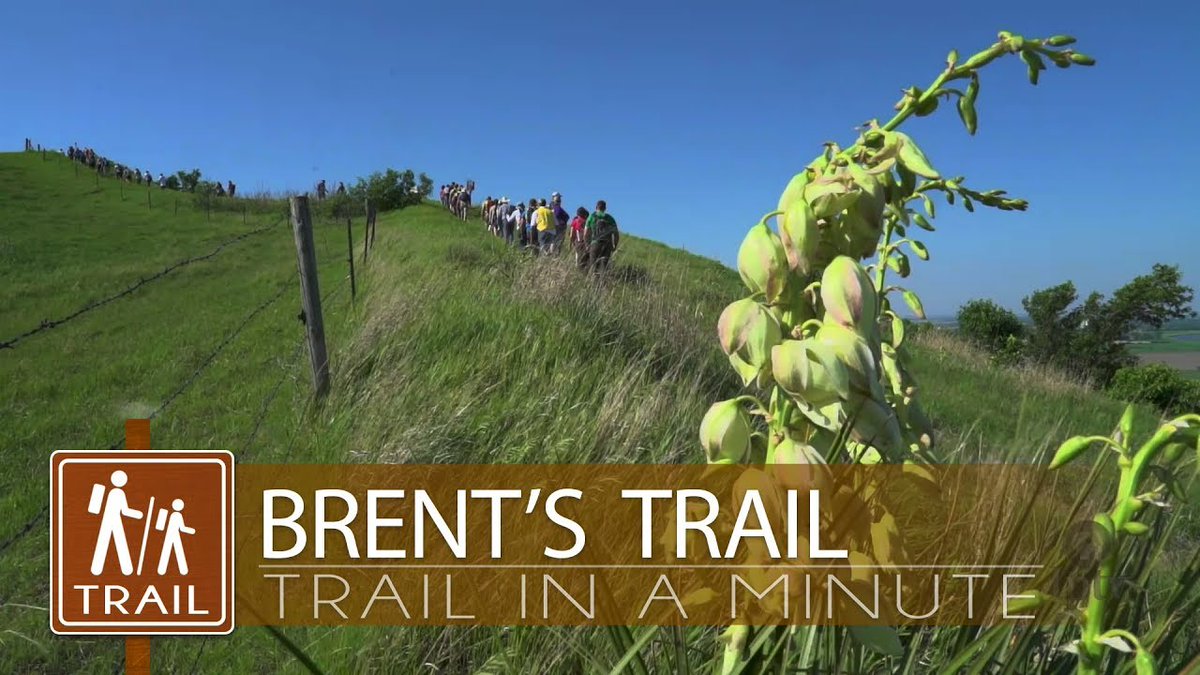 IowaOutdoorsTV's tweet photo. We get it, you're tied to the desk today with no time to hit the trails. Well can you spare a minute for a virtual adventure? 

Then take a quick hike through Loess Hills State Forest on Brent's Trail.

https://t.co/HtzbMgIwCx https://t.co/vEjDbCKzZZ