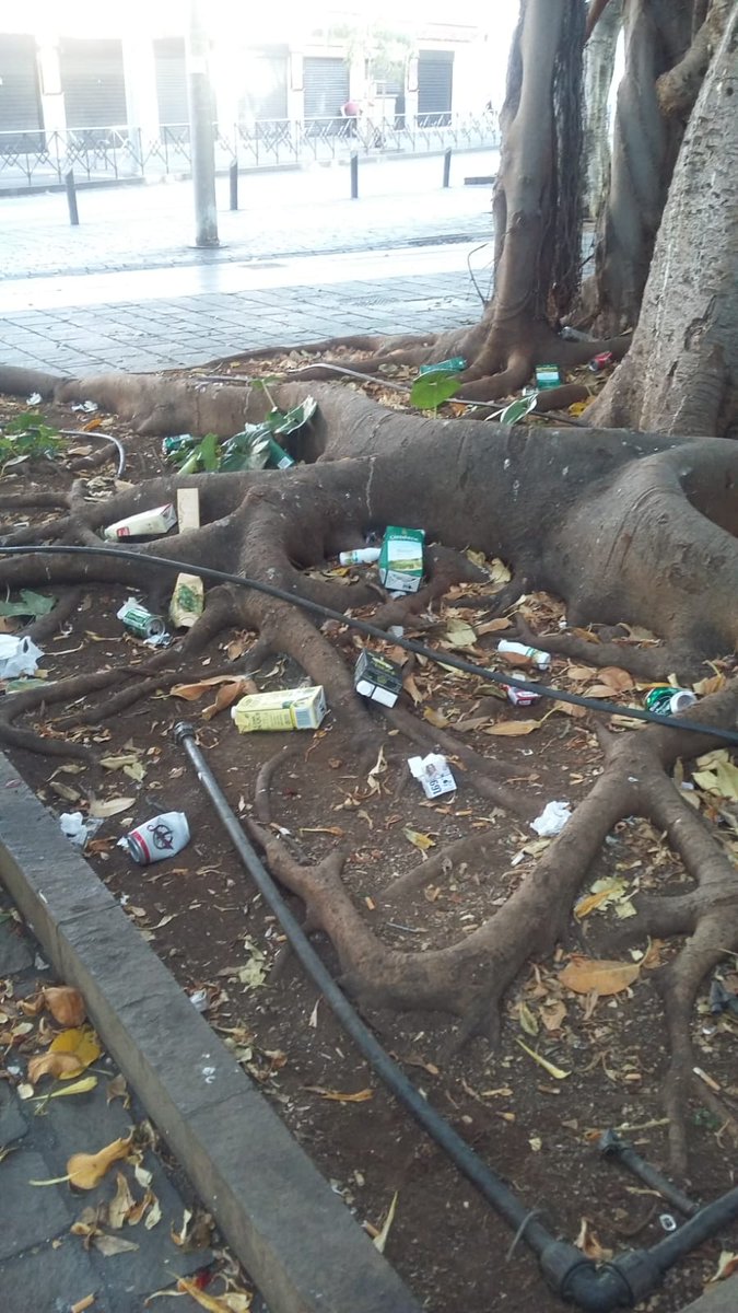 Misning's tweet image. #santacruz_ayto, #PoliciaLocalSC, #PatriciaHdezGut, Situación límite en el centro de SC. Pza Primero de Mayo (Mercado): Indigentes y maleantes beben de la mañana a la noche, orinan, duermen, gritan, se pelean ante el asombro de vecinos y turistas. Polícia Local ausente.Fotos ayer