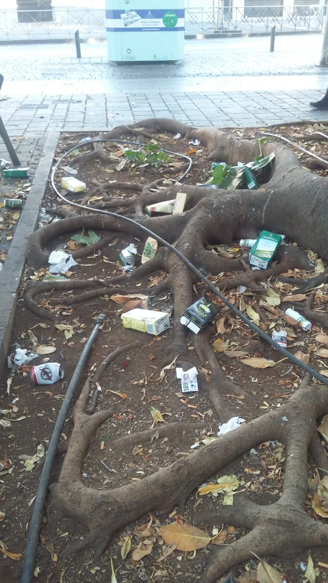 Misning's tweet image. #santacruz_ayto, #PoliciaLocalSC, #PatriciaHdezGut, Situación límite en el centro de SC. Pza Primero de Mayo (Mercado): Indigentes y maleantes beben de la mañana a la noche, orinan, duermen, gritan, se pelean ante el asombro de vecinos y turistas. Polícia Local ausente.Fotos ayer