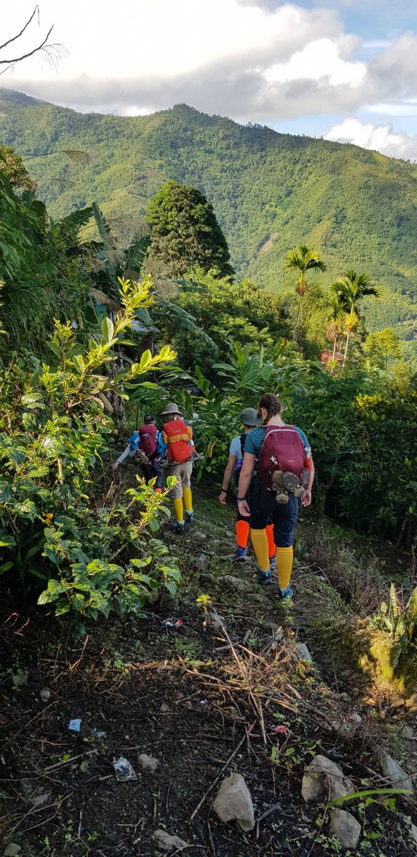 carolinemccann's tweet photo. Another expedition and even more plastic bottles saved by my trusty @PureTraveller Aquapure Traveller bottle. This time the location is the rainforest below Mt Kinabalu in Borneo. Totally recommend a trip here with #guasnabaluhomestay. The guides are hugely knowledgable. https://t.co/Ncj2sS1nUQ