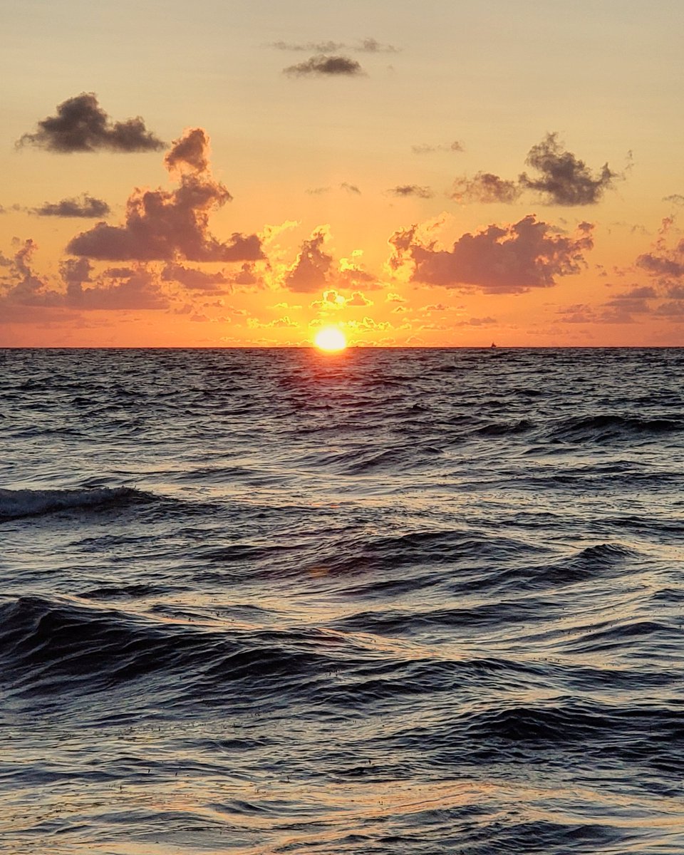 andrighetti35's tweet photo. Beautiful morning #morningzenwithjenn #sunrisethismorning #lovefl #saltlife #myserenity #nature #pompanobeach #southflorida #Sunrise #riseandshine #beach @ShareALittleSun @LissetteCBS4 @visitlauderdale @weatherchannel @PompanoWeather https://t.co/yQJupo4YB0
