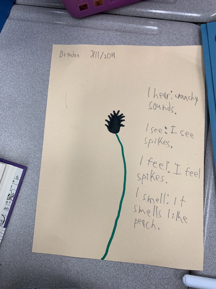 HeimbuegerC's tweet image. Science Observations! @CCSElemEd @CCS_ESLDept @NC_RtA #litnccs #2019ccsrtacamp @sdhaley1 @AlwaysScience1