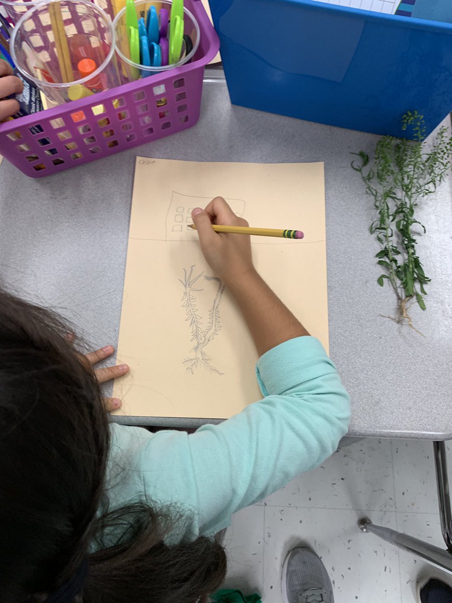 HeimbuegerC's tweet image. Science Observations! @CCSElemEd @CCS_ESLDept @NC_RtA #litnccs #2019ccsrtacamp @sdhaley1 @AlwaysScience1