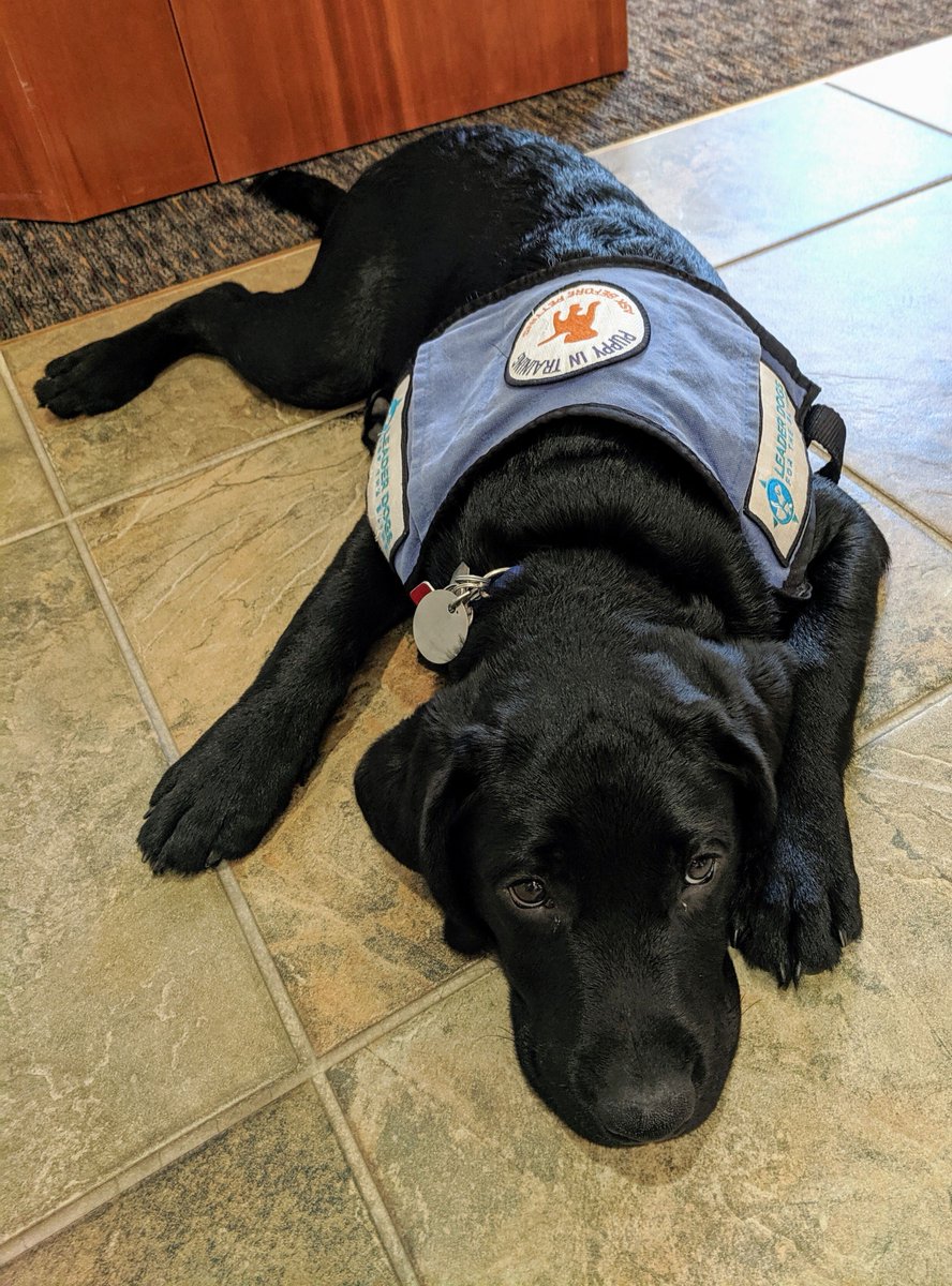 Emily Matson tweet media