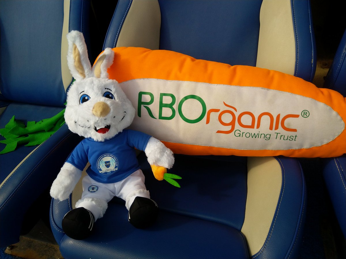 Peter Burrow #Crazyrabbit tweet media