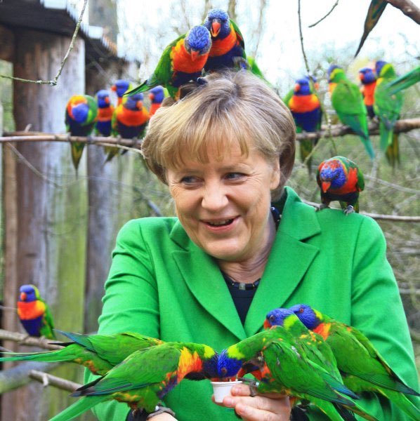Happy Birthday, Chancellor Angela Merkel! 