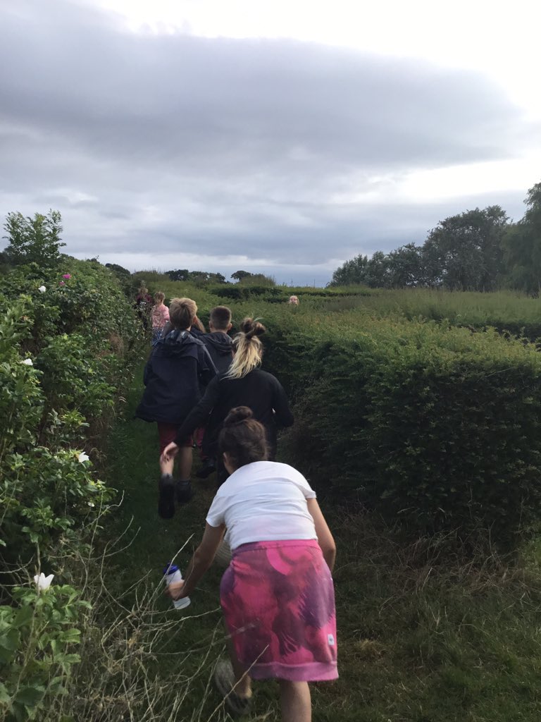 sejtrow's tweet photo. Hopefully we will make it to the middle of the maze😂 https://t.co/RRW6xkafun