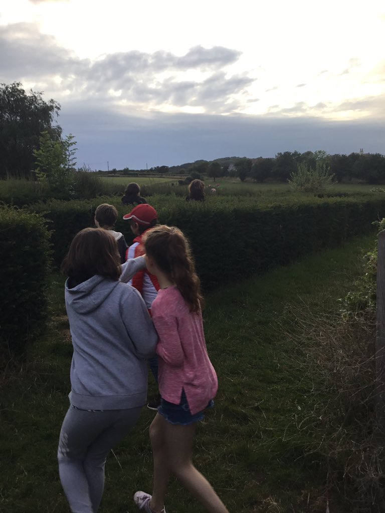 sejtrow's tweet photo. Hopefully we will make it to the middle of the maze😂 https://t.co/RRW6xkafun