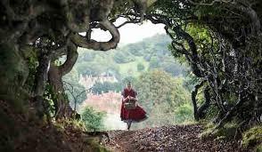 DeniseMcCormack tweet media