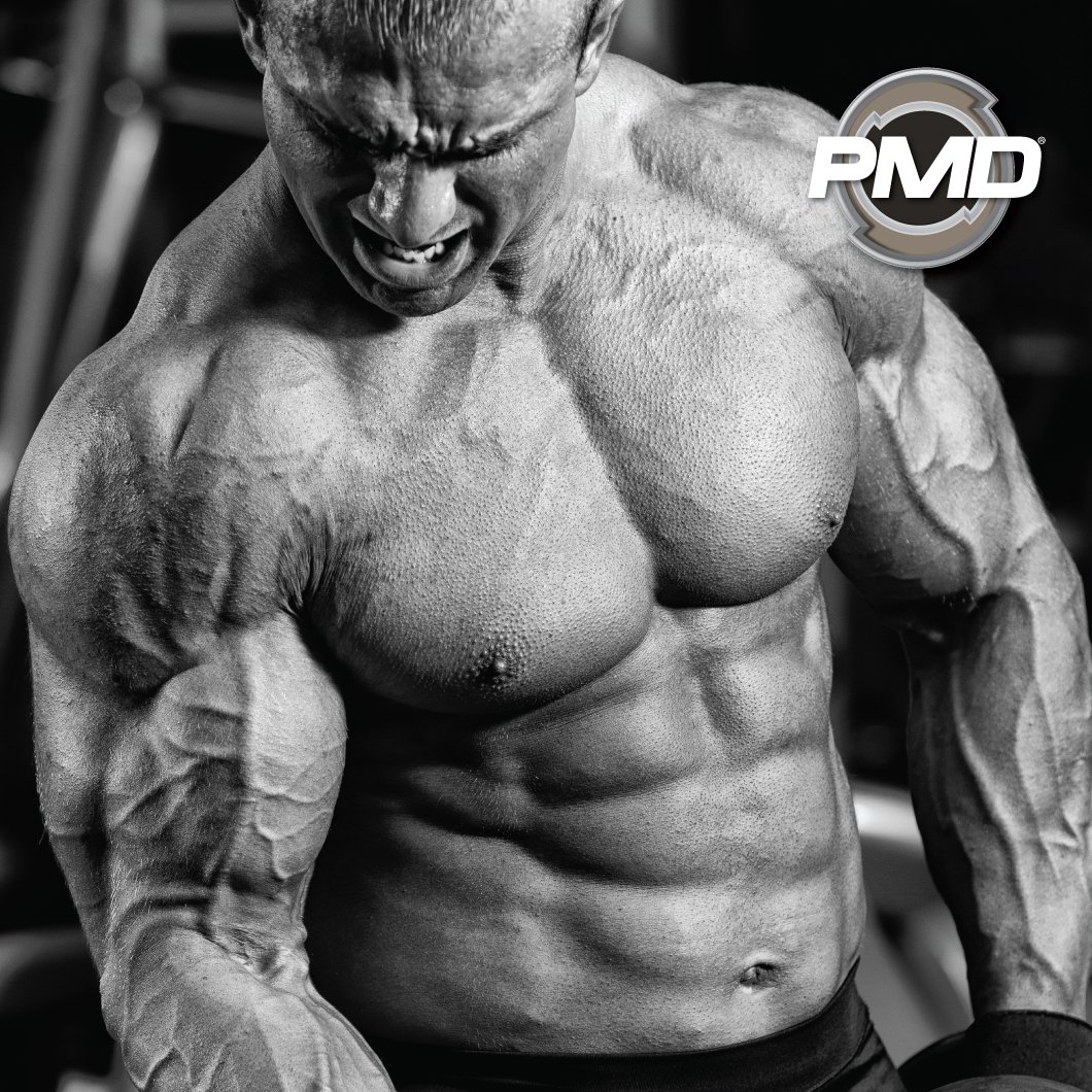 PMDSports's tweet photo. The next level of supplementation - only at GNC!
Click here to find a GNC near you: https://t.co/IZUHodXmKu
#pmdsports #pmdstrong #gnc #fitlife #pumpfuel #arsenalx #omegacuts #amplifyxl #cg5 #acg3 #nitroCM #bodybuilding #gymfreak #methylandro #ntest600 https://t.co/jbi3GmuofL