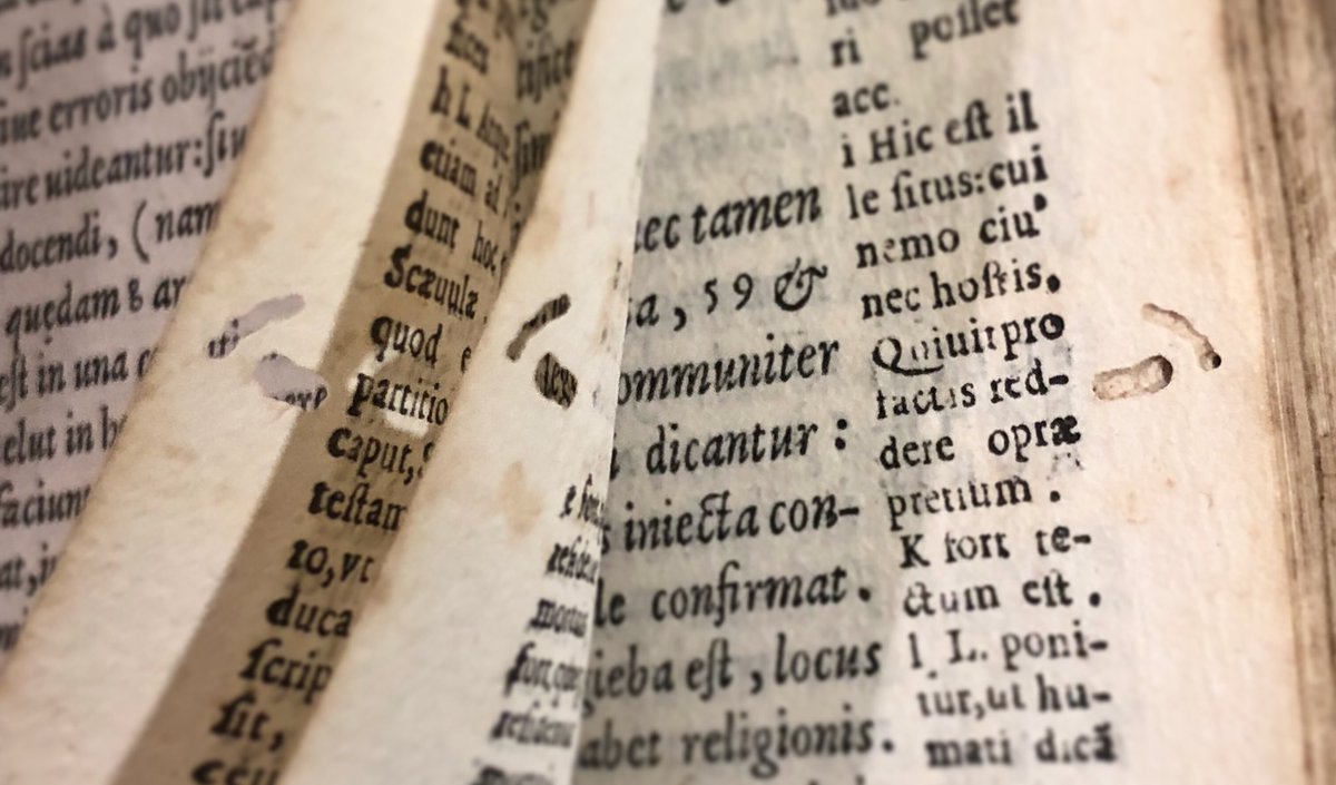 NewberryLibrary's tweet image. A #bookworm (actually, a beetle) made a meal out of Cicero (1579). Cicero is a source of rhetorical wisdom &amp;amp; starch. 🗣🍞🐞 #bugginout