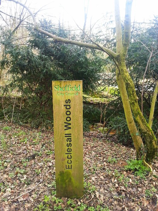 Woodland Coffee Stop, Ecclesall Woods, Sheffield. tweet media