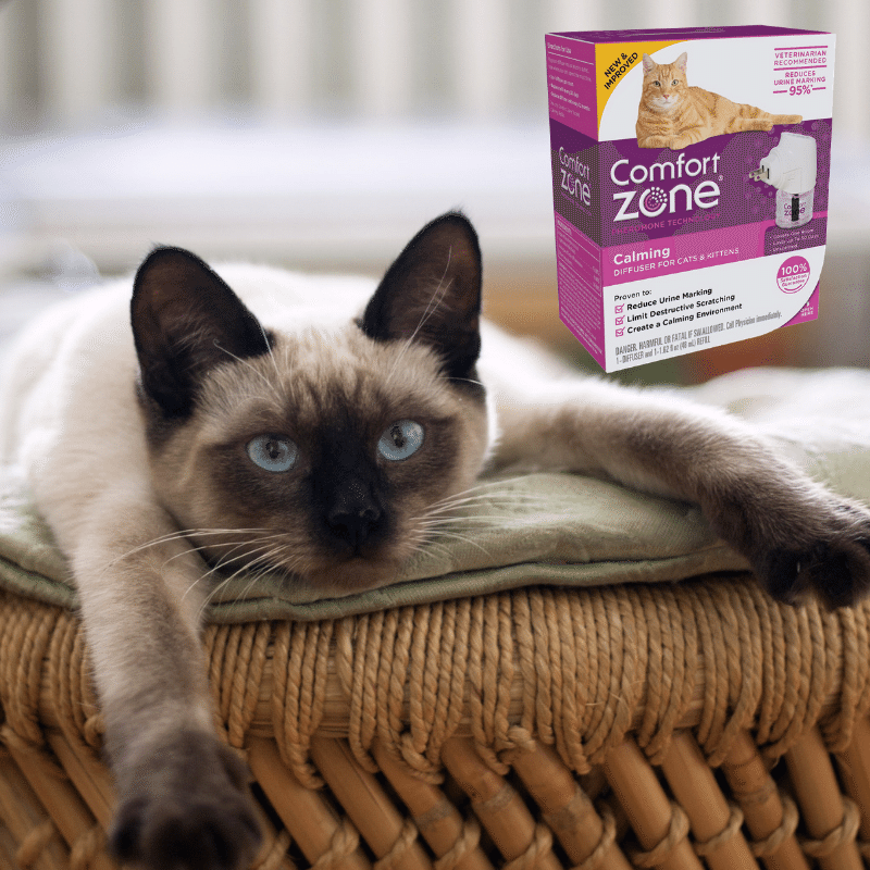 MeowMeetUp's tweet photo. 🌟Cool deal 🌟 The first 2,250 attendees will get a free coupon for a Comfortzone calming or multi-cat diffuser kit... while supplies last! 

#cats #catsoftwitter #meowmeetup https://t.co/GkaCUAJtXv