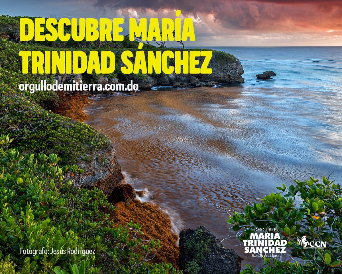 Si aún no has descubierto María Trinidad Sánchez, estas vacaciones de verano serían perfectas para lograrlo. Planea una aventura inigualable con toda la familia, visitando sus playas, sus ríos, conociendo su gente y disfrutando su gastronomía.
#OrgullodemiTierra #DescubreMTS https://t.co/UI096H294E